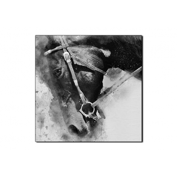 Obraz na plátně - Koňská hlava v abstráktním zobrazení- čtverec